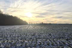 Nabij het Boshuis