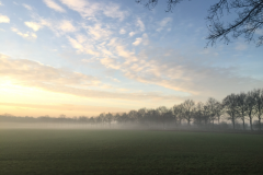 Nabij het Boshuis