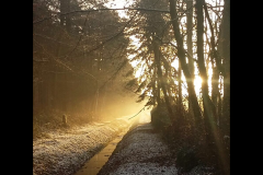 Nabij het Boshuis