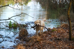 Omgeving Winterswijk